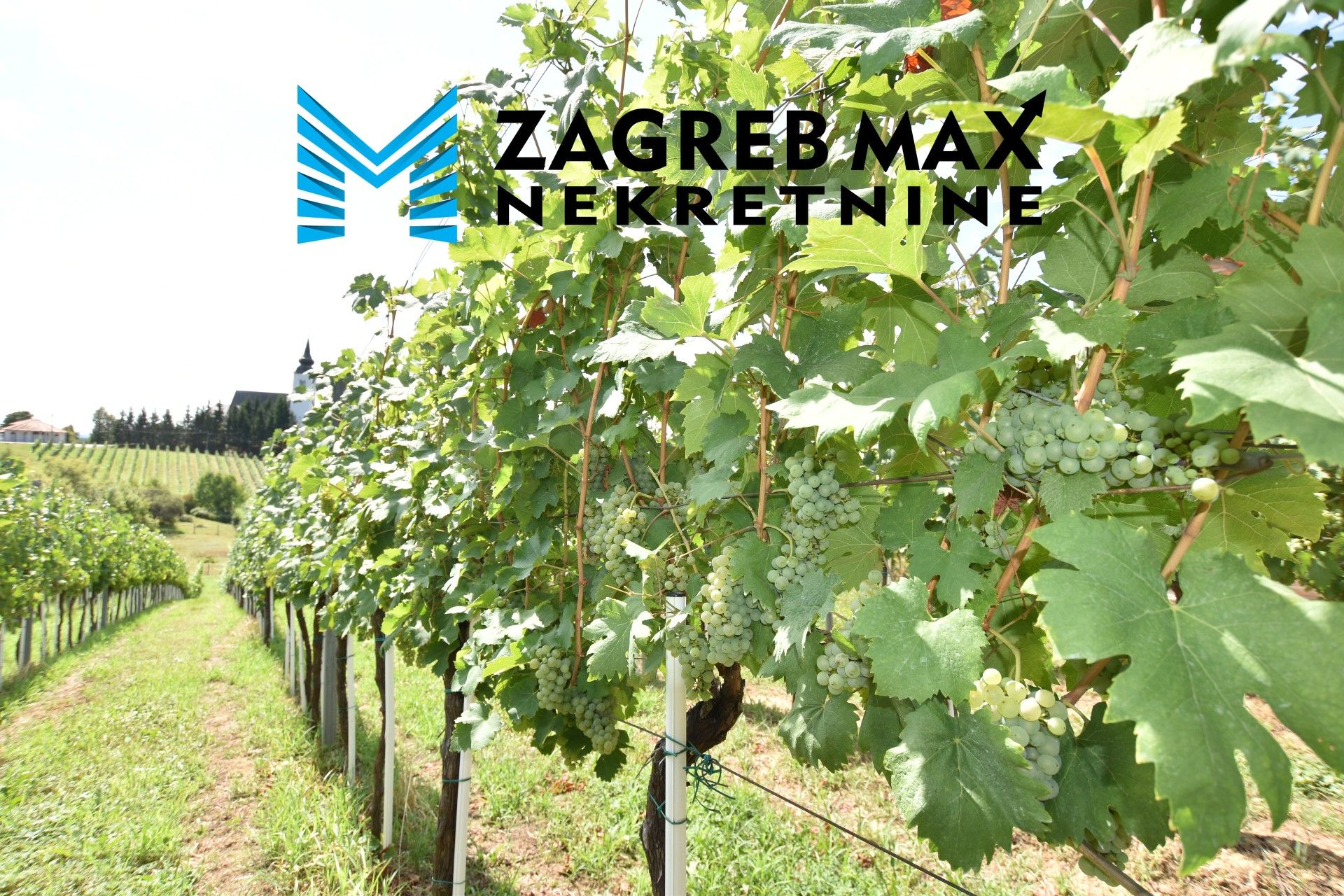 Zagreb - JAMNICA PISAROVINSKA - Nova obiteljska kuća s vinogradom 1 ha, odličan pogled