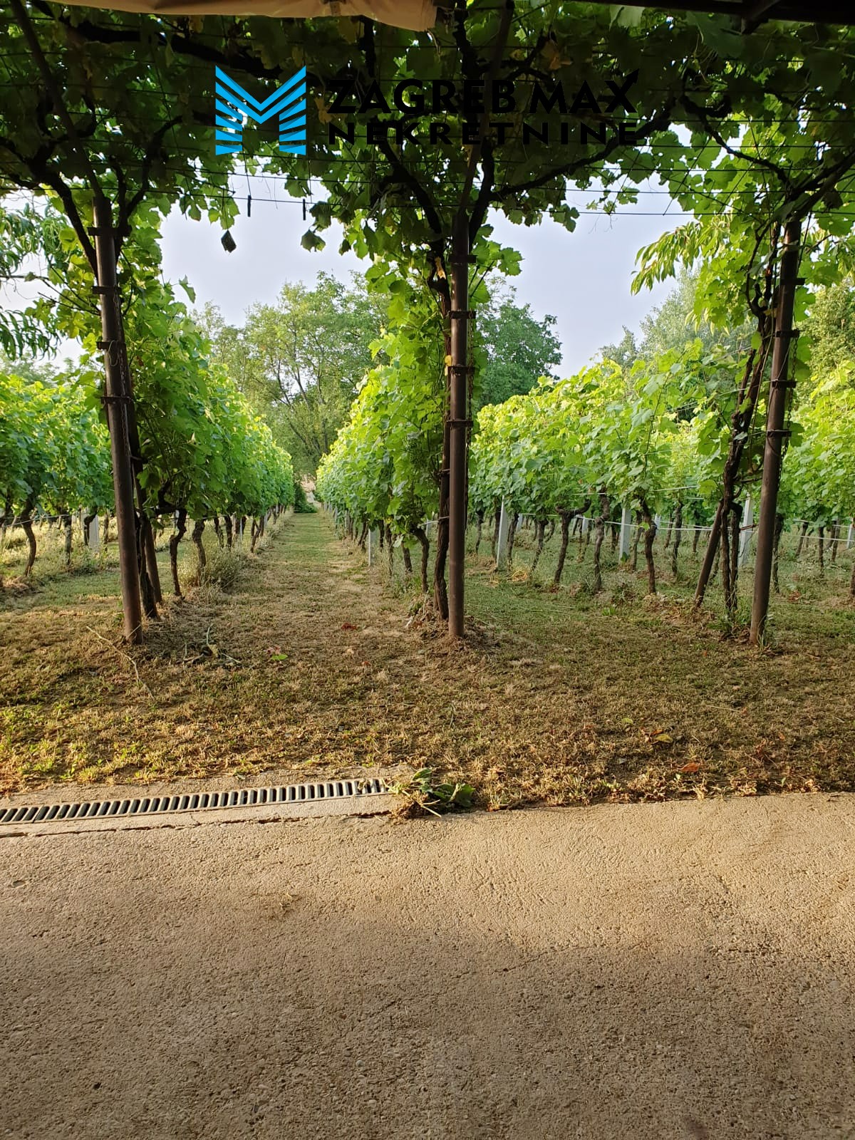 Zagreb - MOSLOVAČKA SLATINA (POPOVAČA) – Samostojeća kuća 64 m2, zemljište 1300 m2, vinograd, mirno okruženje