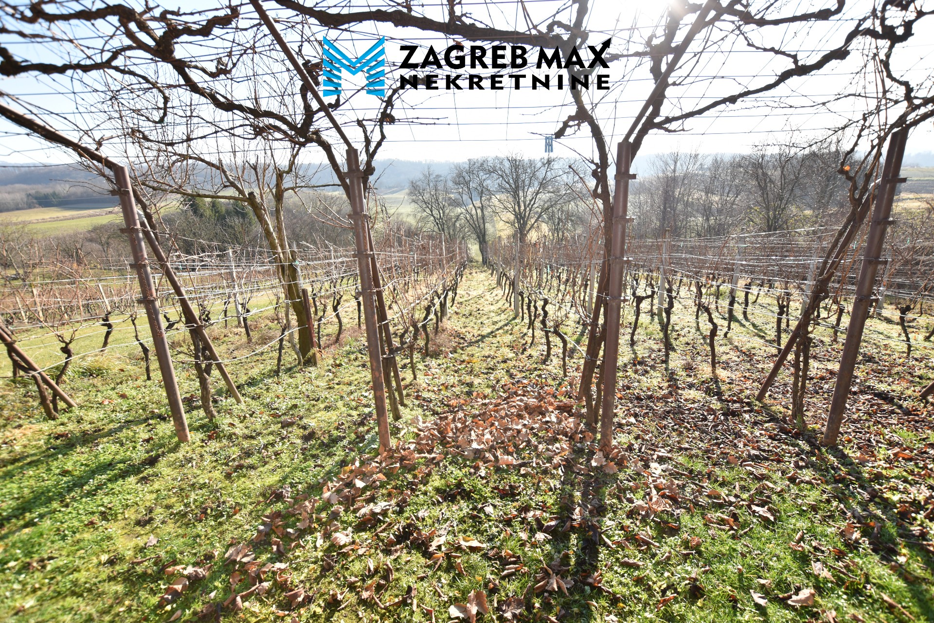 Zagreb - MOSLOVAČKA SLATINA (POPOVAČA) – Samostojeća kuća 64 m2, zemljište 1300 m2, vinograd, mirno okruženje