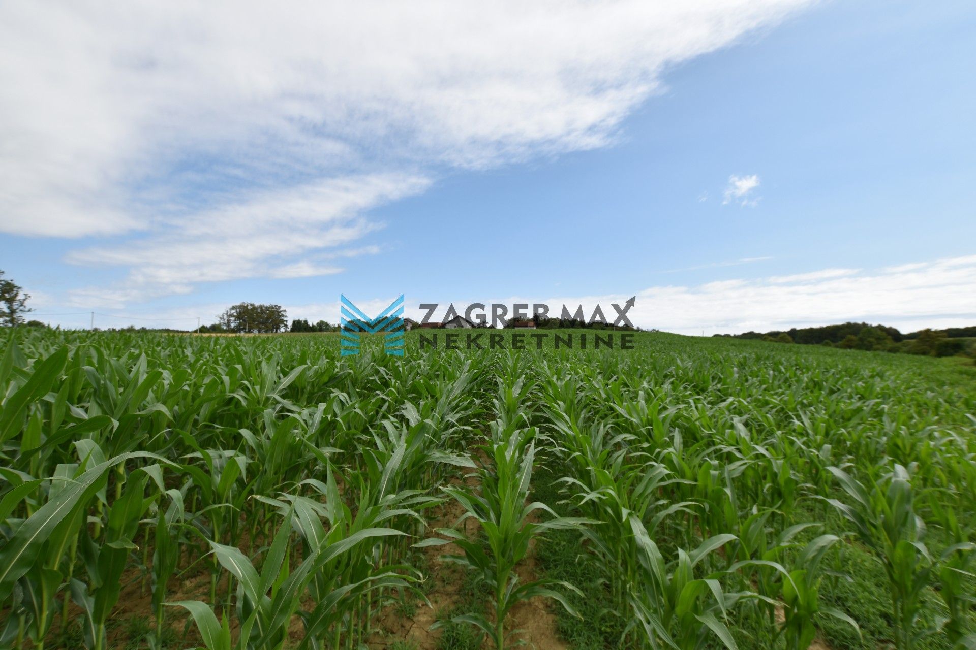 Zagreb - BRATINA Stara obiteljska kuća za renovaciju 70 m2, zemljište 1915 m2, mirno okruženje