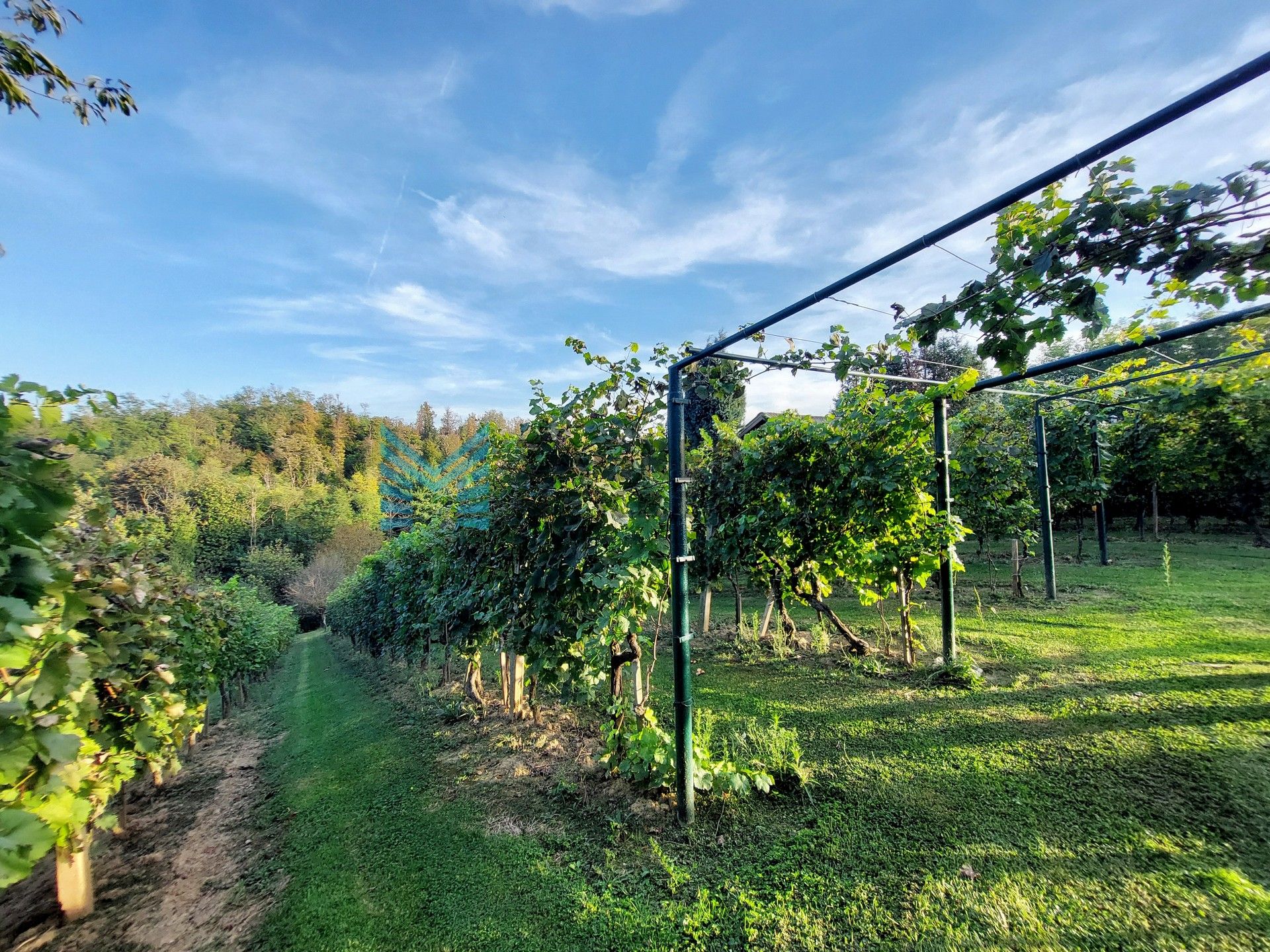 Zagreb - RUŠKOVICA - uređena vikendica, vinograd, voćnjak, dodatni objekt