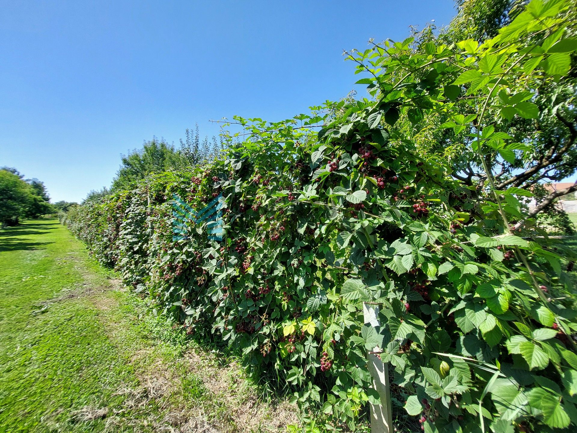 Zagreb - SAVICA ŠANCI - Galdovska - građevinsko zemljište 6788 m2 i kuća 384 m2