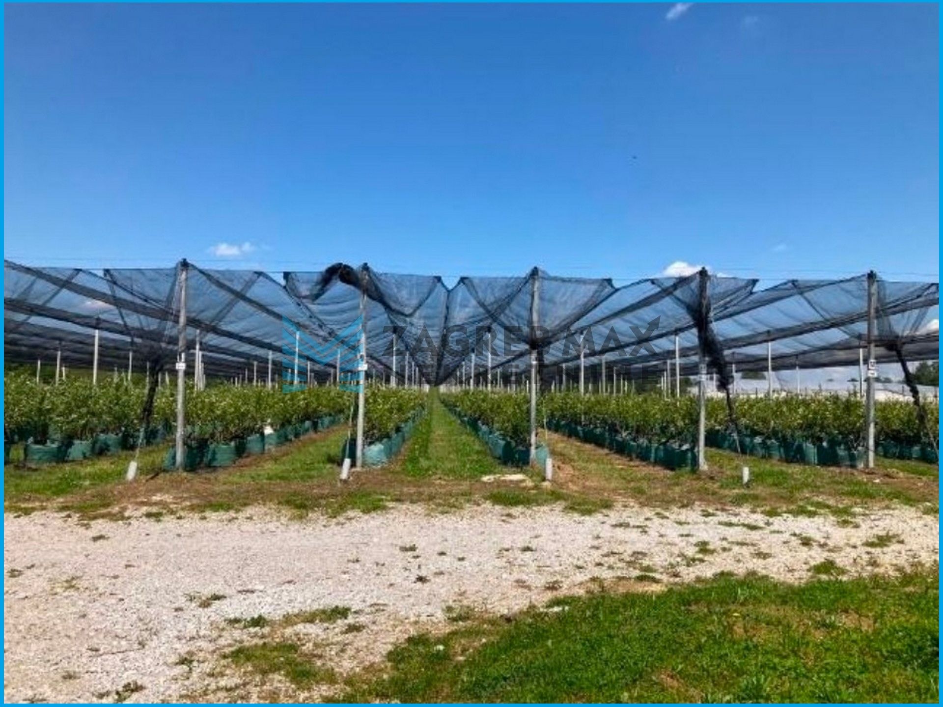 Zagreb - KRIŽ - Moslavačka - kuća (50m2) i plantaža borovnica 12.258 m2